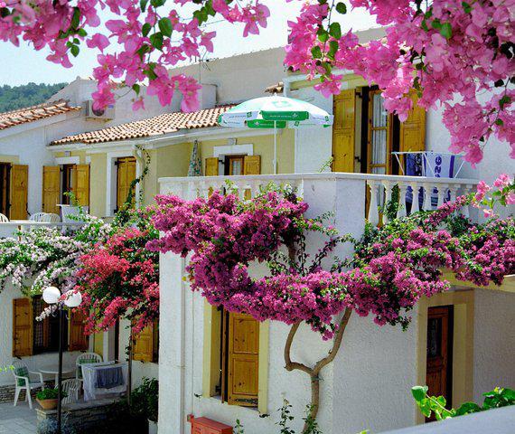Olympia Beach Hotel Kokkari Buitenkant foto