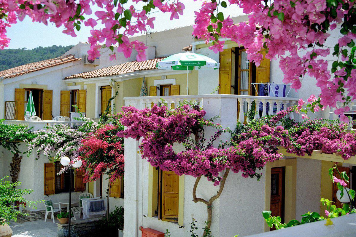 Olympia Beach Hotel Kokkari Buitenkant foto
